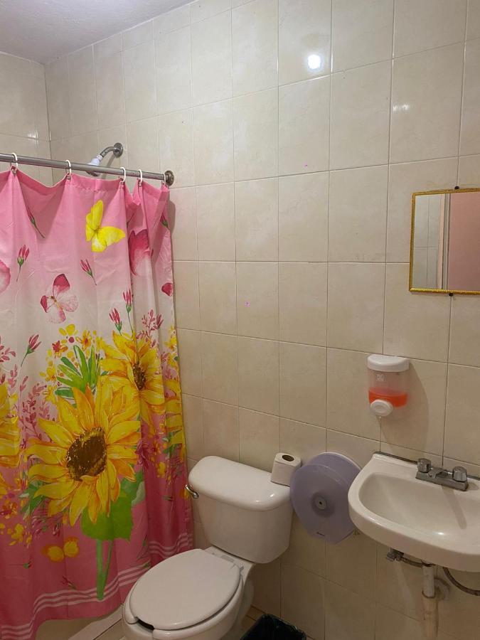 ホテル Palmas クエルナバカ エクステリア 写真